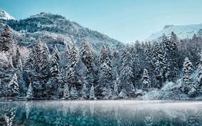 Eu só gostaria de mostrar para o mundo que há um lugar ainda justo neste mundo! Download Imagens Suica Inverno Lago Floresta De Neve Hdr Montanhas Europa Iphone X Wallpaper 504403227014820213 Iphone X Wallpapers Hd