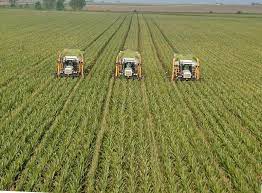 Lead to changes in the dna an example of a chemical hazard which is a neurotoxin is: Is Monoculture A Bad Thing It S Time To Revise Simplistic Ideological Narrative Genetic Literacy Project