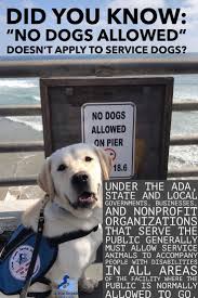 Service Dog Ada Law Did You Know No Dogs Allowed Doesn T Apply To A Service Dog With Their Handler Service Dogs Dog Charities Service Animal