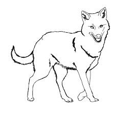 It works equally well for coloring of portraits, landscapes, fashion, and still life. Coloring Pages Coloring Pages Jackal Printable For Kids Adults Free