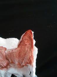 Image result for Kim Lapointe rev12 Sarah Connor