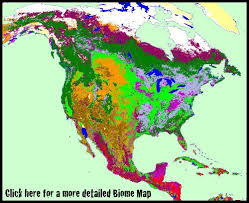 Biomes In The United States Awesome Site On Biomes Rich With Resources Including Videos Maps Lesson Plans Etc Land Aquatic Terrestrial Marine W Biomes Ecosystems Homeschool Science