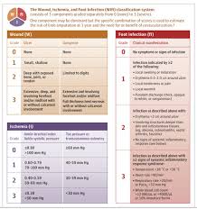 Image result for IDSA Diabetic Foot Wound Classification