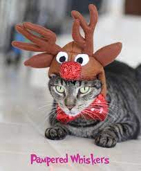 Cat Dog Reindeer Costume Rudolph The Red Nosed Reindeer Hat Etsy Cat Christmas Costumes Christmas Cats Reindeer Costume