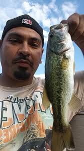 What's the best bait for catching trout?