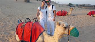 Desert camp enjoy a quite night. Camel Safari Arabian Expedition