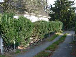 43 pietramarina, privatweg für feriengäste, mit bequemem abstellplatz am weg. Datei Privatweg Berlin Lankwitz Jpg Wikipedia