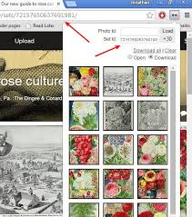 How to download flickr photos by using flickr downloader? 4 Flickr Image Downloader Extensions For Chrome