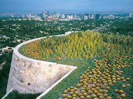 J Paul Getty Center Laurie Olin Suculentas Plantas Suculentas Agaves