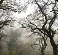 There's such beauty to be found on the moor and in the ...