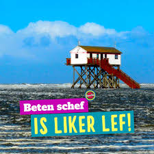 Zu Welchem Deiner Freunde Passt Dieser Plattdeutsche Spruch Schicks Weiter An Ihn Oder Sie Plunnenforp Plattdeutsch Spruch Plattdeutsch Humor Deutsch