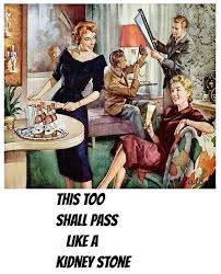 I Ve Been Know To Say This Before This Too Shall Pass Like A Kidney Stone Or Gas Retro Humor Vintage Humor Funny Picture Quotes