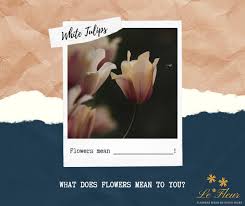 24'' h x 3.5'' w x 3. Le Fleur Home Facebook