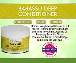 Protein Free Deep Conditioner Ad Deep Conditioner Essential Oils Rosemary Conditioner