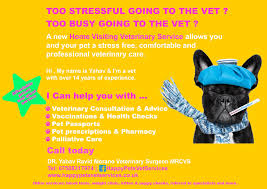 Your pet's health is always our number one priority—however, we are not an. Happy Pets Vet Services Home Facebook