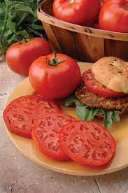 The remaining 6 are becoming amazingly huge! Big Beef Hybrid Vffntast Tomato Seeds Seeds N Such