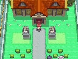 You can get one from the underground man in eterna city. Pokemon Platinum The Trophy Garden