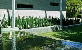 Best gardening & landscape ideas for raised beds, planters, pergola & trellis, greenhouses, patio furniture, hanging baskets, shade garden, & indoor plants! Snake Plant Paisagismo