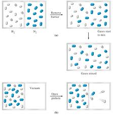 Molecular Formulas And Nomenclature