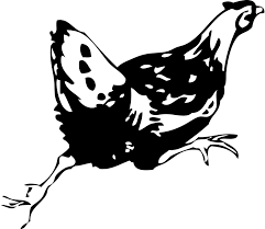 Black And White Hen Clipart Free Clipart Running Hen Animals Running Images Chicken Images Clip Art