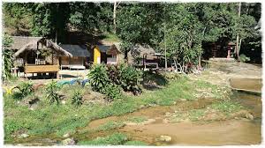 For caving its provide more than 3 trails with different cave. Reflections Of My Life Hutan Lipur Bukit Lagong