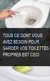 Tous Ce Dont Vous Avez Besoin Pour Garder Vos Toilettes Propres Est Ceci Toilette Toilettes Propre Soin Garde Besoin