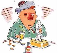 Yaz Nezlesi Nedir Congestion Remedies Chest Congestion Chest Congestion Remedies
