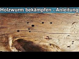 Holzwurm Im Holz In Mobel Erfolgreich Bekampfen Anleitung Holzwurmer Entfernen Hausmittel Youtube Holzwurm Holzwurmer Bekampfen Anleitungen