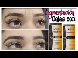 Cejas Perfectas Con Bigen Pigmentacion De Cejas Youtube Cejas Perfectas Cejas Diseno De Cejas