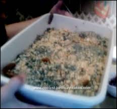 Sprinkle the other half of cookie crumbs over top. Coolest Homemade Kitty Litter Cakes