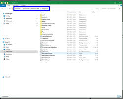 Die mods können nicht auf . Downloads Erscheinen Nicht Im Spiel Crinrict S Sims 4 Hilfe Blog