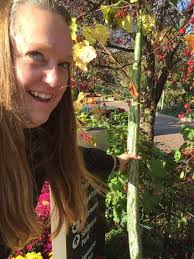 Karen Maxfield Obituary