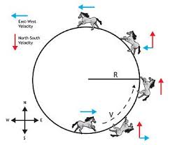 Circus Physics Centripetal Acceleration A Complete Lesson For Your Classroom On Moving In Circles Physical Science Ap Physics Physics