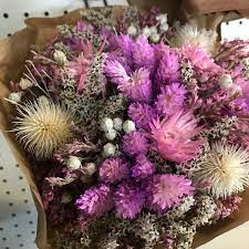 Maybe you would like to learn more about one of these? M M Cut Flora Wholesale Florist In Denver Co