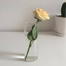 Furthermore, poppies are not the only one kind of flowers to be seen on stained glass. Single Pale Yellow Rose In Clear Glass Vase Yellow Aesthetic Pastel Yellow Aesthetic Pastel Aesthetic