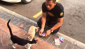 Anda bisa membeli makanan kucing merk ini di berbagai toko khusus pilihan makanan kucing berkualitas terjangkau dan murah ini terbuat dari bahan terbatas. Rezeki Mencurah Curah Sejak Sedekah Makanan Pada Kucing The Reporter