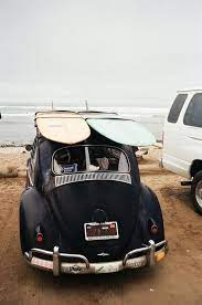 Beetle Surfing Surfs Beach