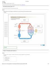Bioflix Activity Gas Exchange Oxygen Transport Ch 18 Hw Pdf Ch18hw Ch18hw Due 11 59pmonsunday April5 2015 Gradingpolicy Parta Answer Higherbraince Course Hero