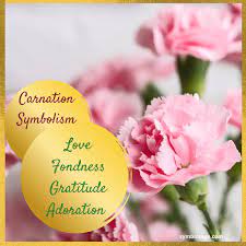 Pin On Plants And Flower Symbols