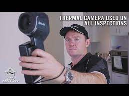 And that means training our gold coast pest control technicians in the. 5 Best Pest Control Companies In Gold Coast Top Pest Control Companies