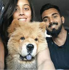 India today , 15 апреля 2021. Virat Kohli To Sachin Tendulkar These 7 Indian Cricketers Are Proud Parents Of Super Adorable Pets