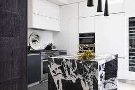 a kitchen that doubles as an art