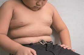 Factors Affecting Childhood Obesity
