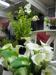 Same day delivery view our flowers below! Seattle Wholesale Growers Market Celebrates 1st Anniversary Northwest Agriculture Business Center Blog