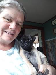 Cats free adoption 😻😻