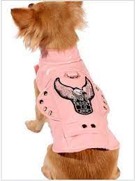 Biker Dog Clothes The Easy Rider Motorcycle Dog Jacket Biker Dog Dog Clothes Dog Jacket