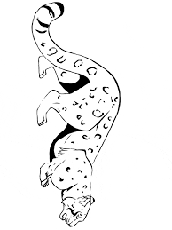It's excellent for those who love animals. Snow Leopard Coloring Page Animals Town Animals Color Sheet Snow Leopard Free Printable Coloring Pages Animals