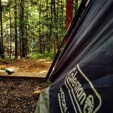 These Walk In Campsites Offer Seclusion Peace And Quiet Tucked Inside Georgia State Parks State Parks Georgia State Parks Campsite