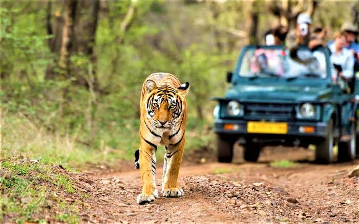 Kumbhalgarh Wildlife Sanctuary