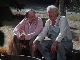 The Waltons" The Visitor (TV Episode 1974)